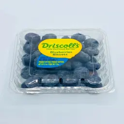 Blueberry Box